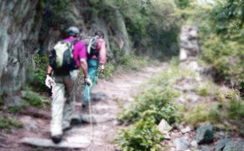 ��ɽʵ���ĵ����