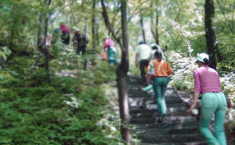 ������ɽ��߻���