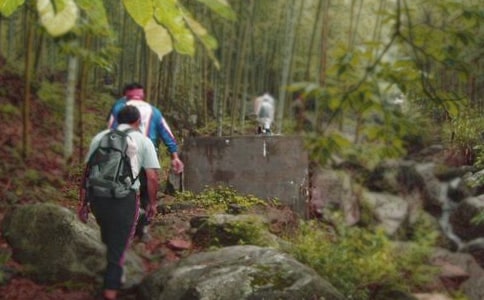 ��ɽ���ĵ����