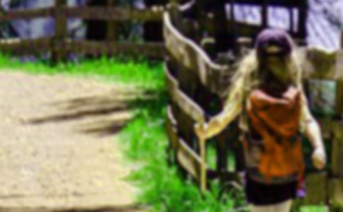 ��ɽ�ĵ����[��14ƪ]