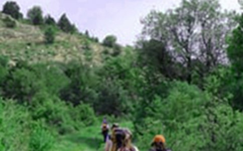 ��ɽ��ĵ����