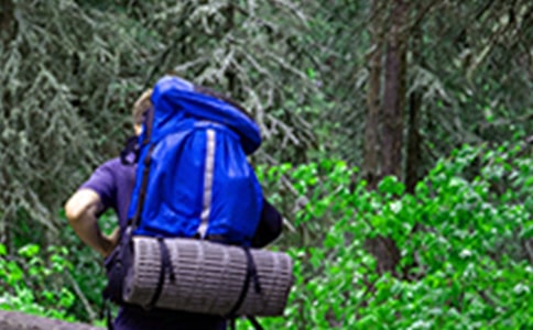 ��ɽ�߻���