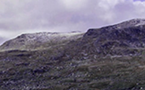 ��ɽ�ĵ����(���15ƪ)