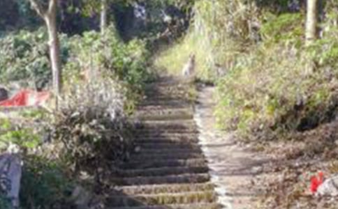 ��ɽ�ĵ����