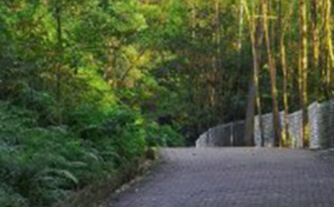 ������ɽ���ĵ����