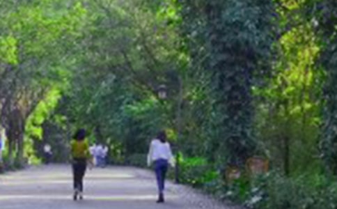 ��λ��֯��ɽ��ܽ�