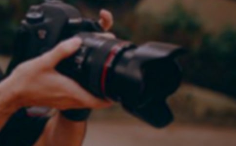 �����ĵ����