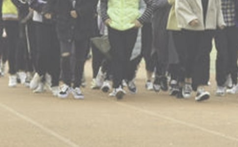 �ܲ��ĵ����