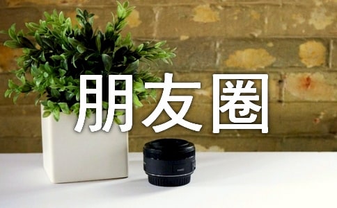 ��������Ȧף����