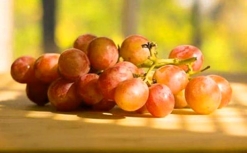 ���ѹ���ͨ��600�䣩