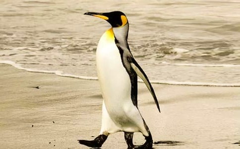 ��������������졷�����