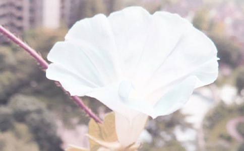 ����ǣţ�����и�