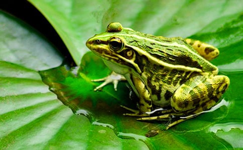 ����ѡ���������ܳ�������ƪ