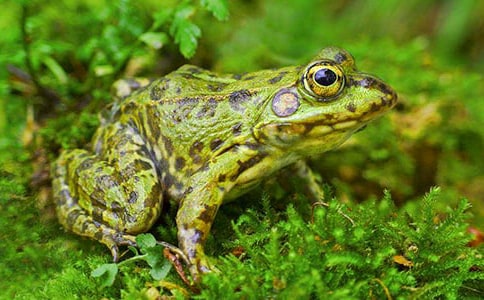 �������ޡ�С���ܡ���ʵ������˼�ۿ��ĵ�