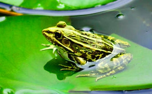 ���ڱ������ܳ�����15ƪ