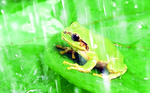 ���������������ܳ�������ƪ