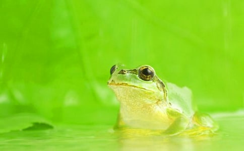 �������ܳ�����