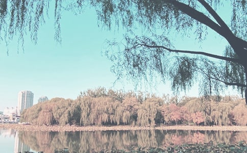 �＾Сѧ���������ƻ�