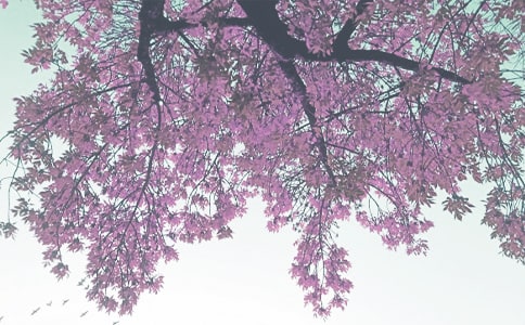 �＾����ת����΢���ʺ���