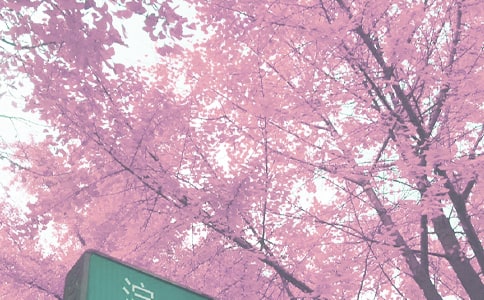 Сѧ�＾ѧ�ڹ����ƻ�