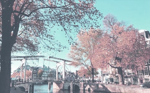 �＾ѧ�ڰ�ȫ�����ƻ�