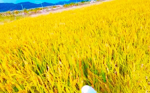 ���յ��ĵ�