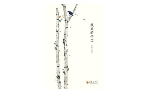 ����Ļ����ĵ����