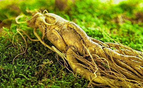 ���ش�ѧ15�˲��봴ҵ