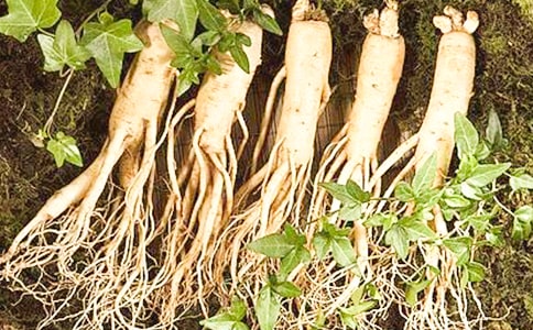 ���˲ι�ѧϰ�ĵ����