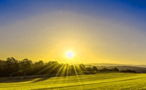 �����ճ������