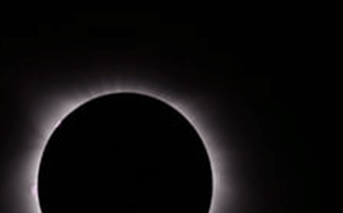 �ۿ���ʳ�ĵ����ͨ��