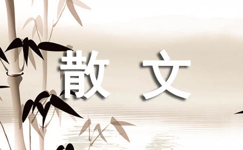 感悟人生随笔散文