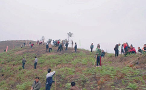 ��ʿ��԰ɨĹ�ĵ����