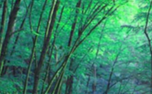 ɭ�ַ���֤��