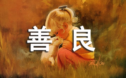 ������¼40�侫ѡ