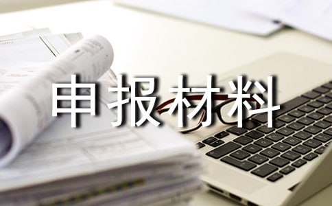申报材料真实性承诺书