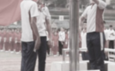 �׶�԰�＾�������ݽ���