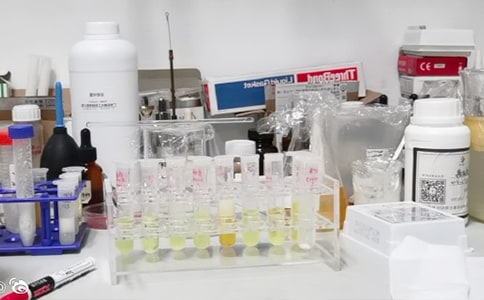 ʵ���Ұ�ȫ���ĵ�