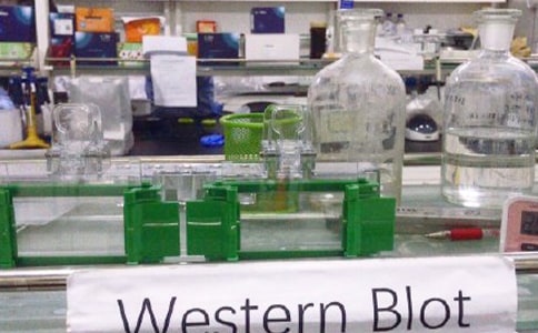 ����ʵ���ҹ����ƻ�15ƪ