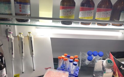 ����ʵ���ҹ����ƻ����ϼ�15ƪ��