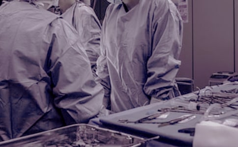 ���������ĵ����