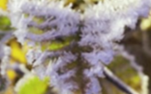 ˪�������ʺ���,ϣ�������Ҹ�����!