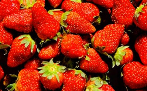 ˮ���괴ҵ�ƻ��飨��ѡ15ƪ��