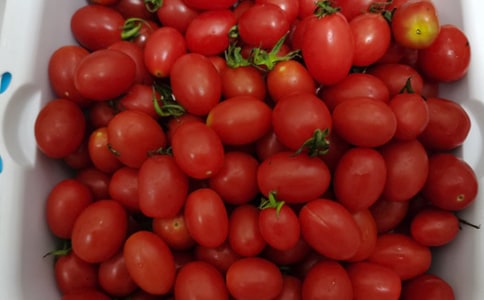 ˮ��Ӫ���߻���