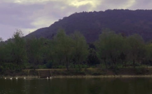 ���²ι�ˮ����ĵ����