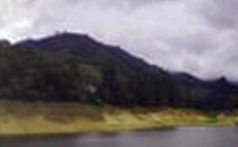 2024��ˮ���Ѵ���������ܽ�