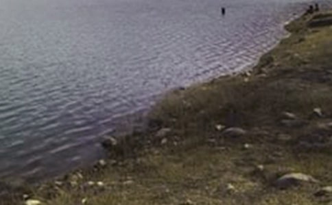 �ι�����ˮ����ĵ����