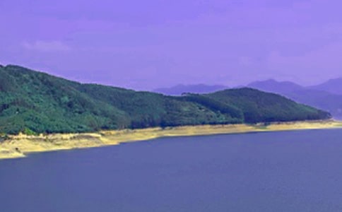 ˮ��а�Э����