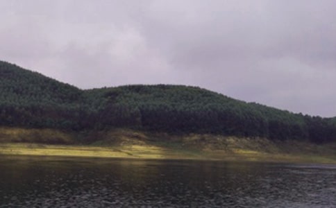 ���ڲι�ˮ���ĵ����