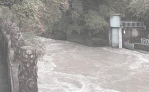 ˮ������רҵ���ҽ���